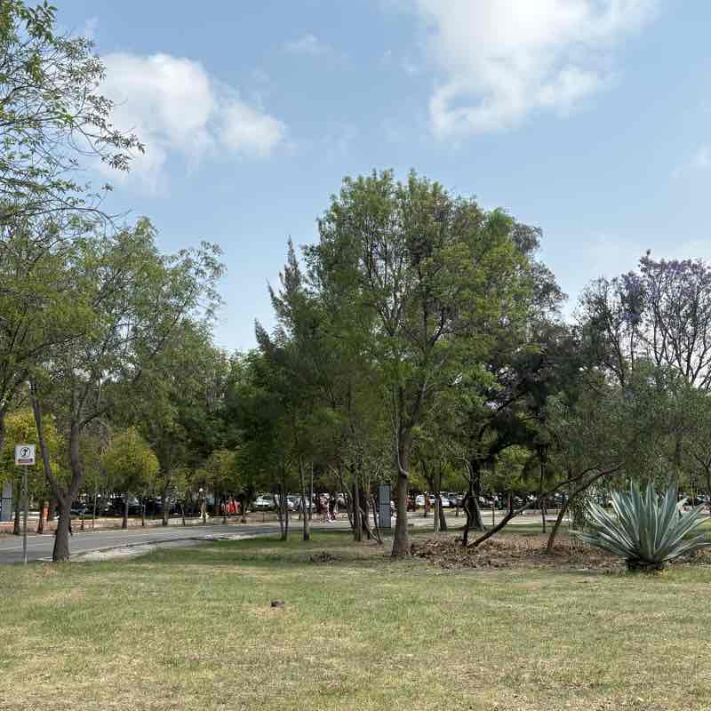 Ruta recreativa-Parque ecológico