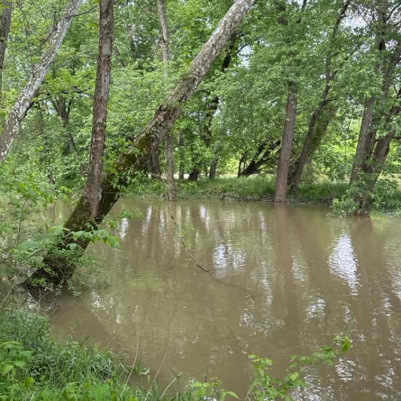 White River Nature School