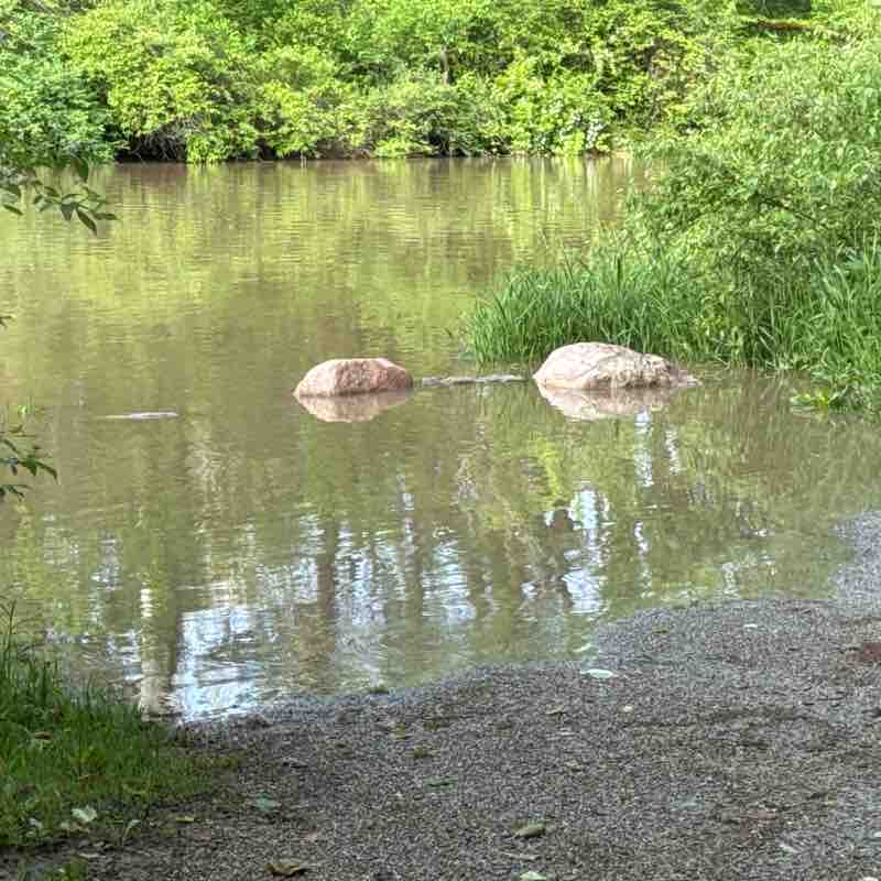 Geist at White R.