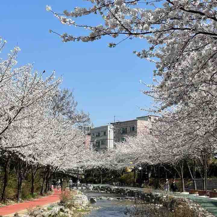 성내천 산책