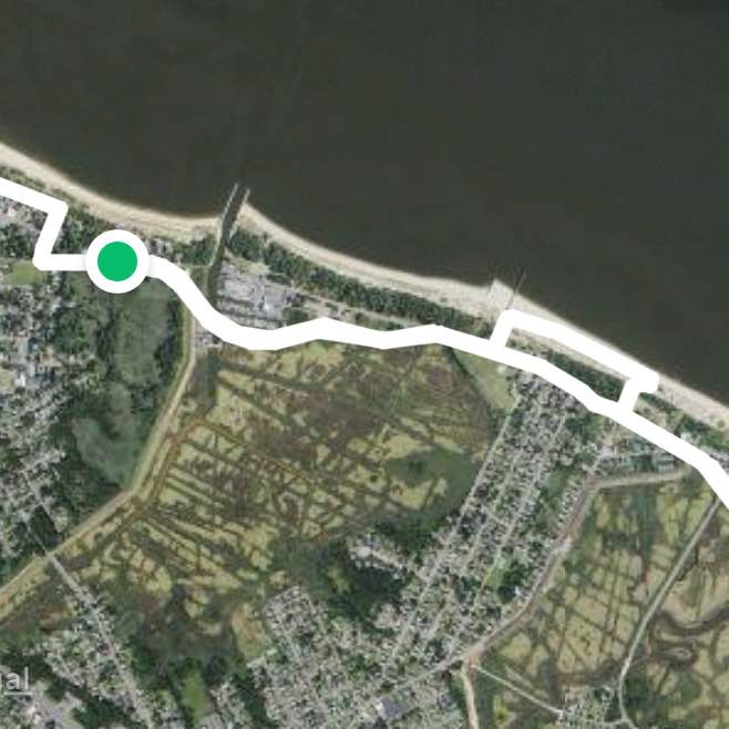 Beach run