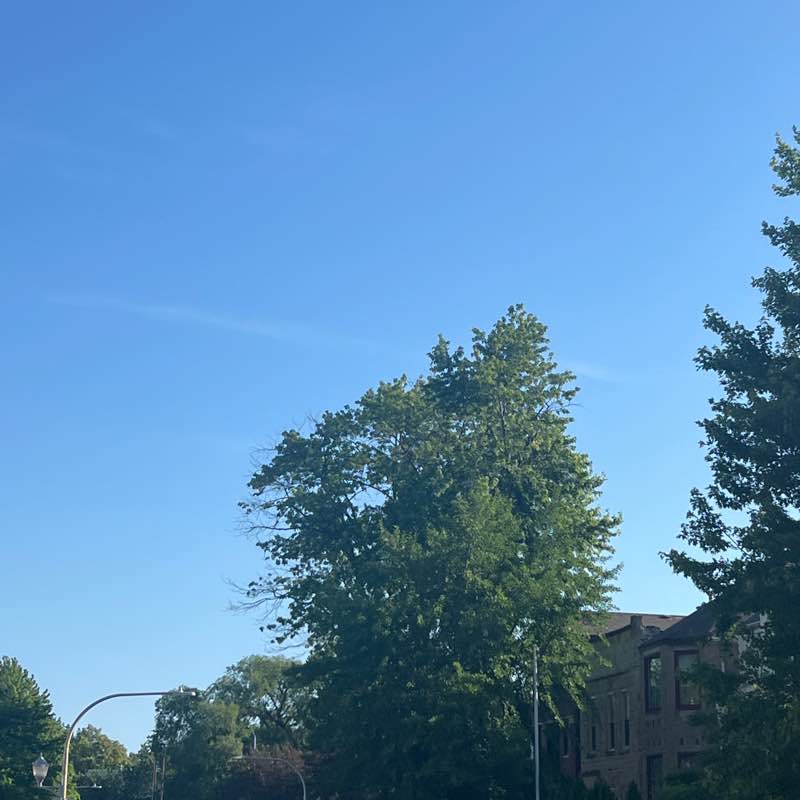 Livingston park