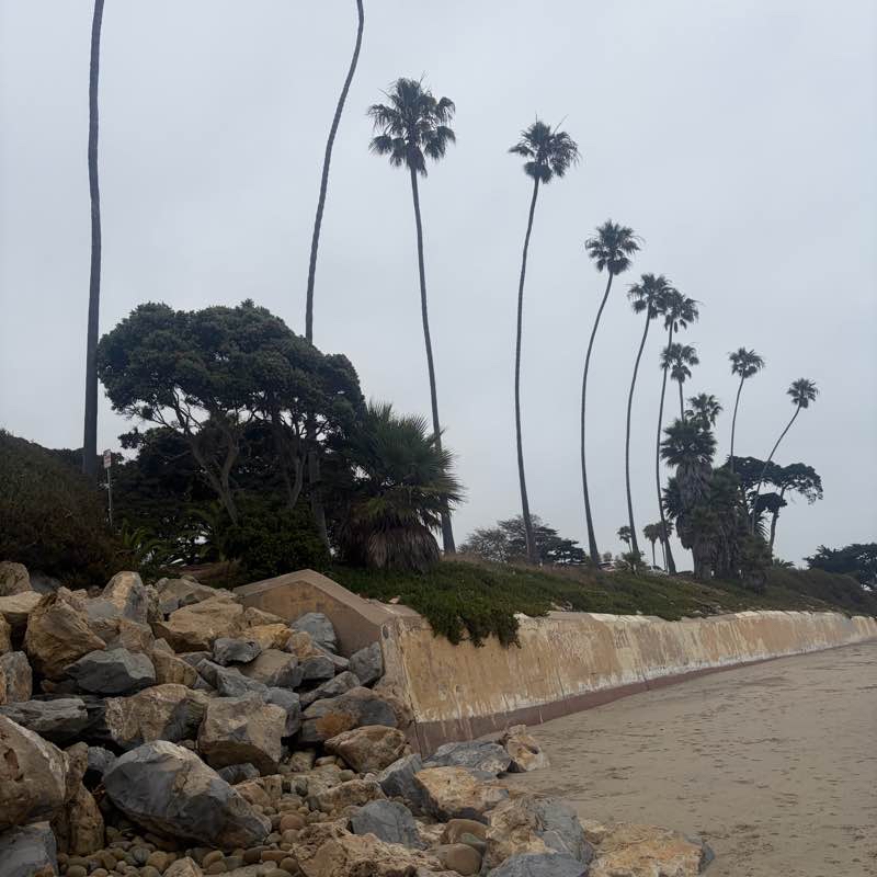 BUTTERFLY BEACH TO PADERO LANE ~ low tide SAND RUN