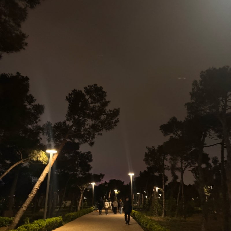Night park walk