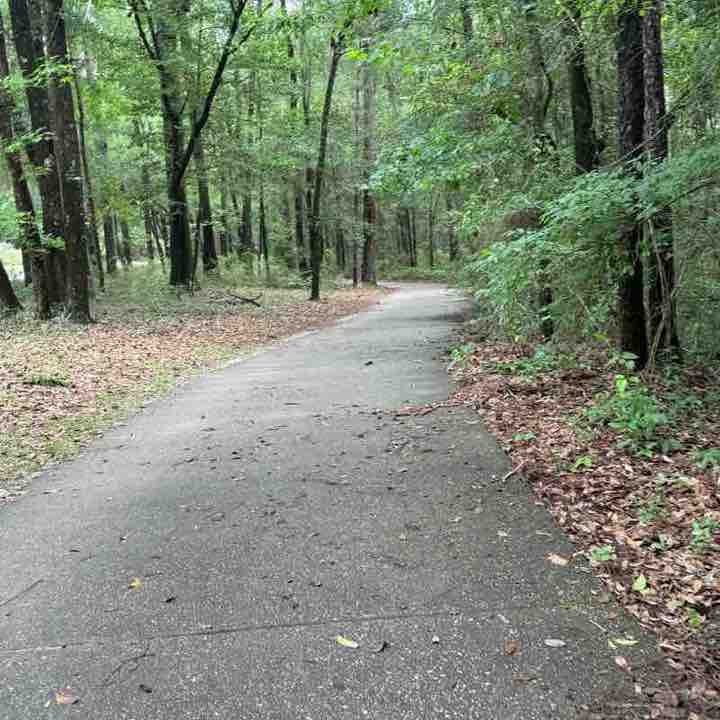 Metal of Honor Park-Under the Trees