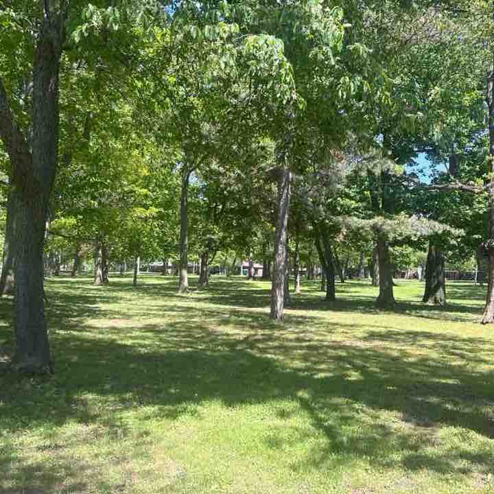 Wulitzer park