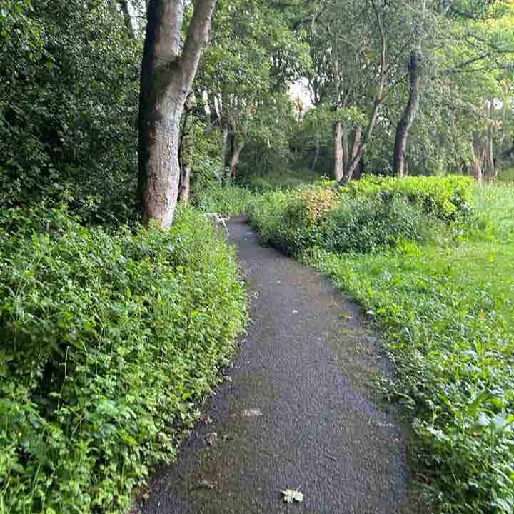 Calm walk through Hetton park