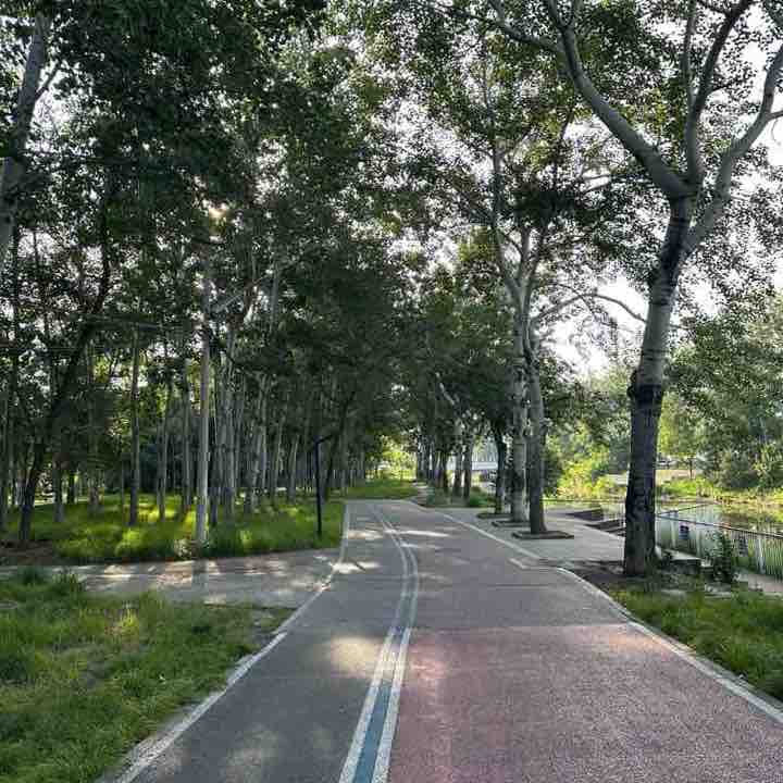 小树林 小河边