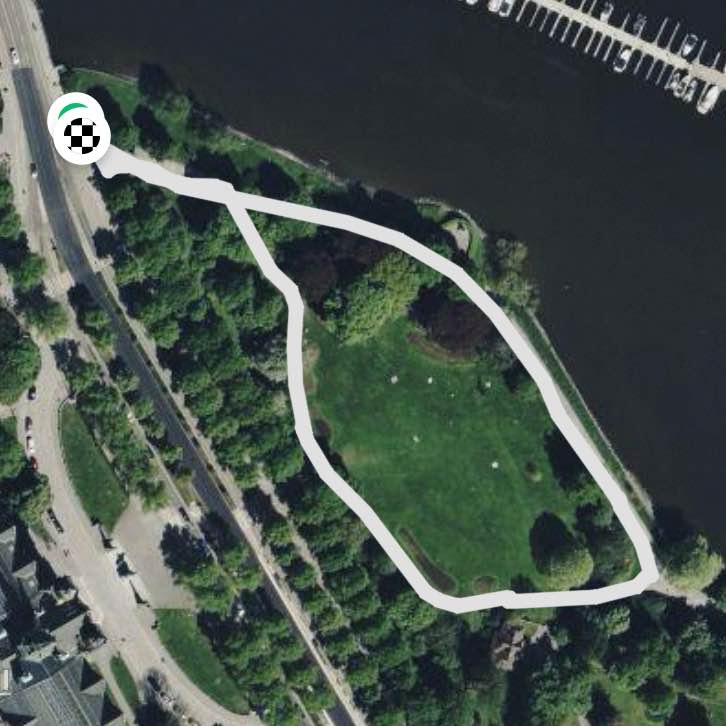 Lejonslätten