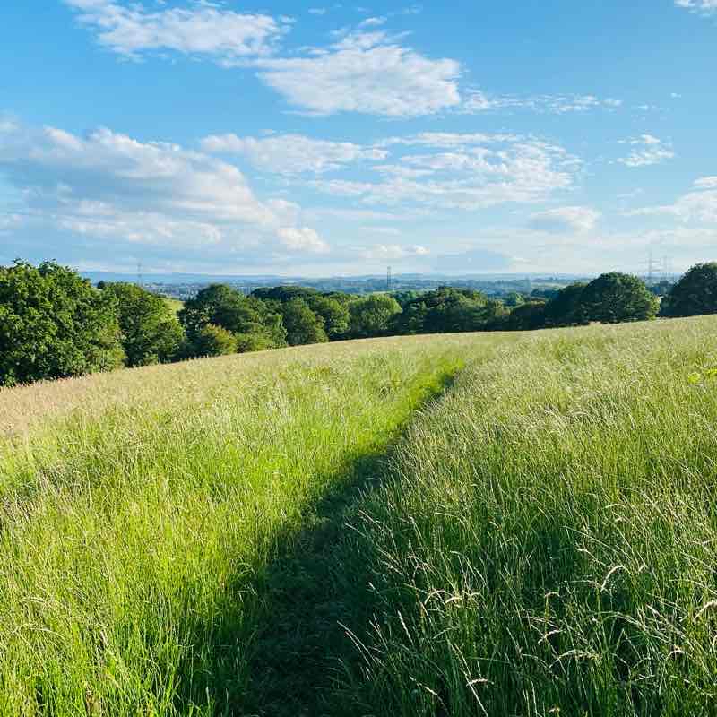 East Bierley