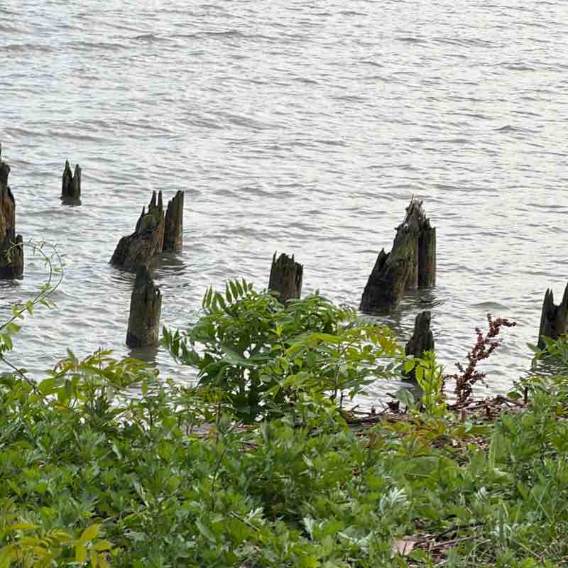 Soundview Park