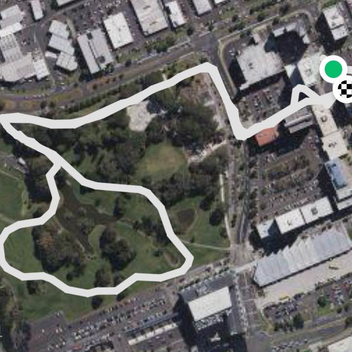 Lunchtime walk work