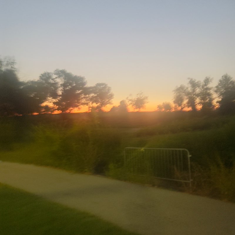 Forest Park