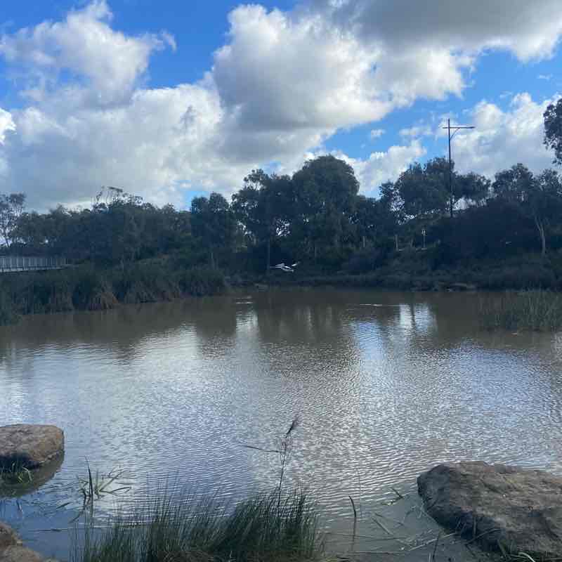 Armstrong Creek